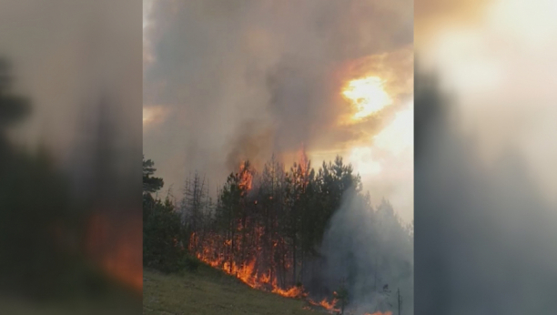 U tri mesne zajednice u Priboju proglašena vanredna situacija: Šumski požar bukti danima, ugroženo stanovništvo i imovina