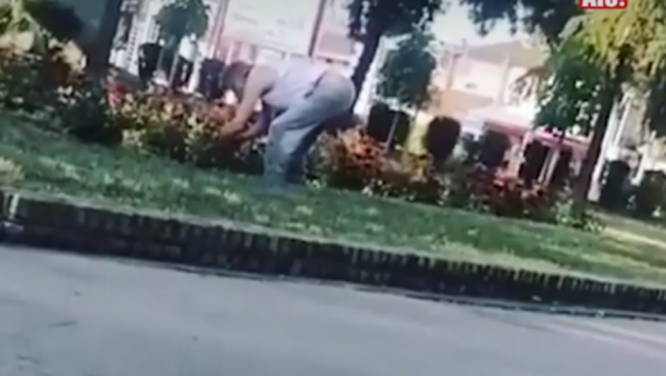 Deka iz Niša uhvaćen kako krade cveće u parku - ali mu je zbog kraja snimka sve OPROŠTENO (VIDEO)