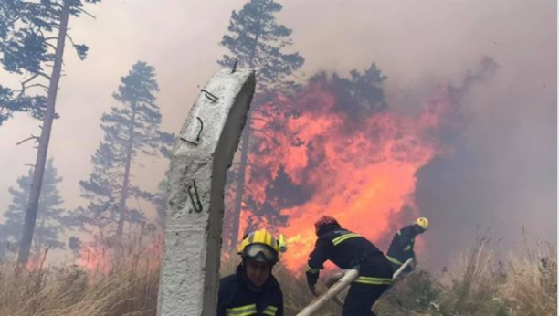 Pripadnici Sektora za vanredne situacije angažovani su na gašenju požara u Zlatiborskom upravnom okrugu
