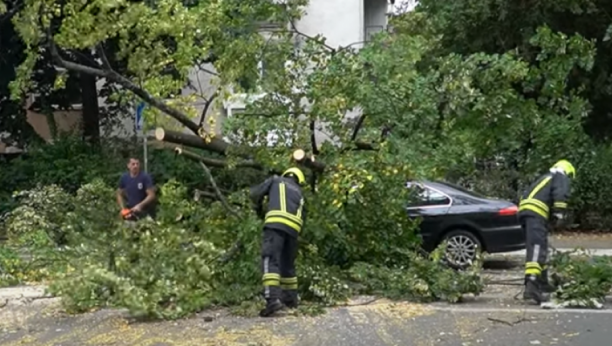 JAKA KOŠAVA NOSI SVE PRED SOBOM Popadalo silno drveće po Beogradu, nekoliko saobraćajnica blokirano
