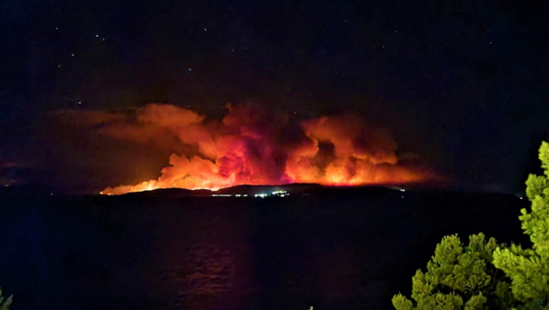 POŽARI OPUSTOŠILI GRČKU Izgorelo više od 100.000 hektara zemlje
