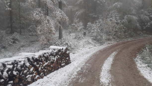 ZIMA VEĆ POKAZALA ZUBE, A NIJE NI POLOVINA OKTOBRA Sneg satima veje na Tari, zabeleli se lokalni putevi (FOTO)