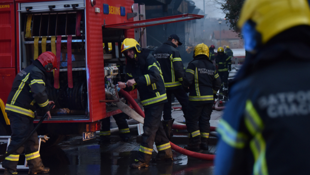 Požar u Zemunu: Više desetina vatrogasaca na terenu