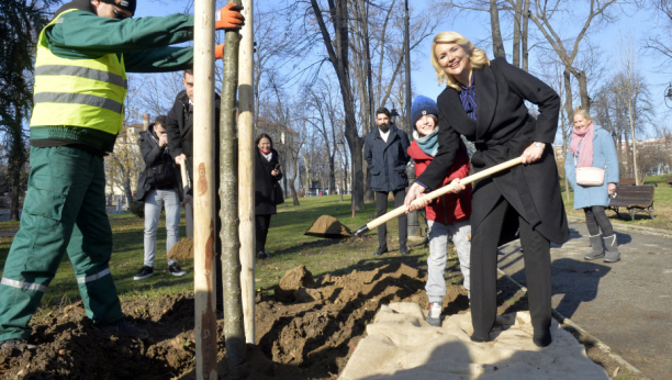 MINISTARKA DARIJA KISIĆ SA PENZIONERIMA I MLADIMA Zasadili sadnice u Karađorđevom parku