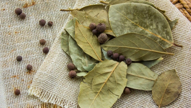 Lekovita biljka: Kako lovorov list deluje na zdravlje?