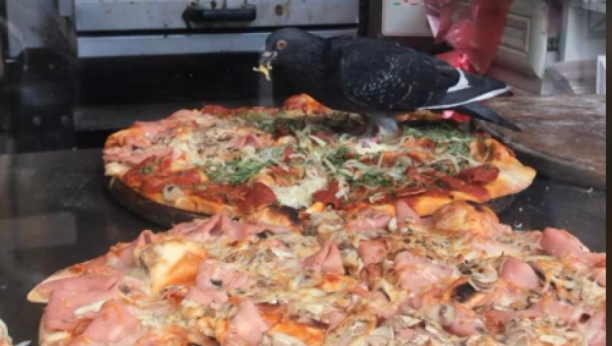 BEOGRAĐANI, EVO ŠTA VAM UVALJUJU U poznatoj piceriji na Trgu golubovi se hrane vrućom picom! (VIDEO)