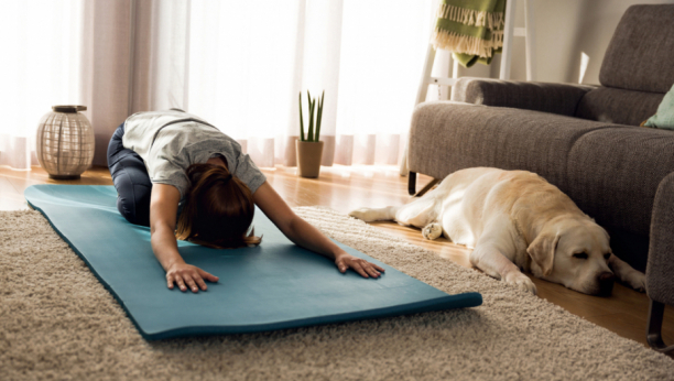 Krzneni partner: Pas joj se pridružio dok je radila jutarnju jogu