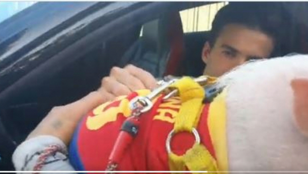 ČUDO NEVIĐENO! Fudbaleru Barselone doneli svinju, nije mogao da veruje šta se događa (VIDEO)