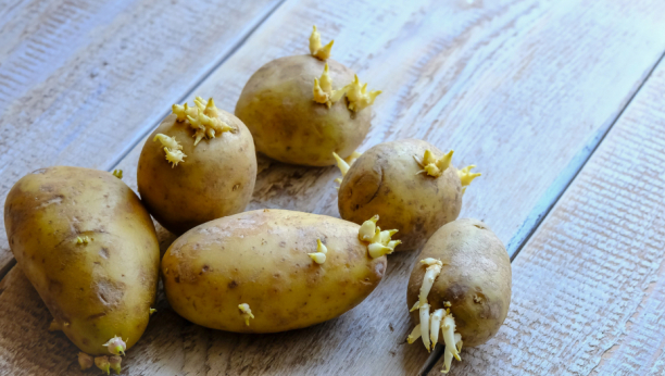Na ovaj način neće proklijati: Kako se pravilno čuva krompir?