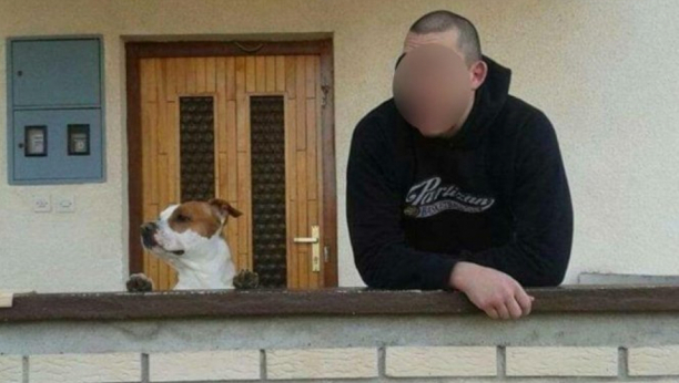 STAFORD AGA SPASAO GAZDU Hrabri pas upucan prilikom oružanog napada u Novom Sadu!