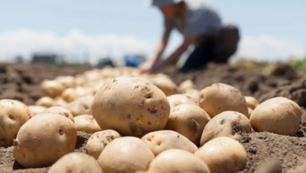 ČINI ČUDA ZA DOMAĆINSTVO Da li ste znali da krompir možete da iskoristite za čišćenje?