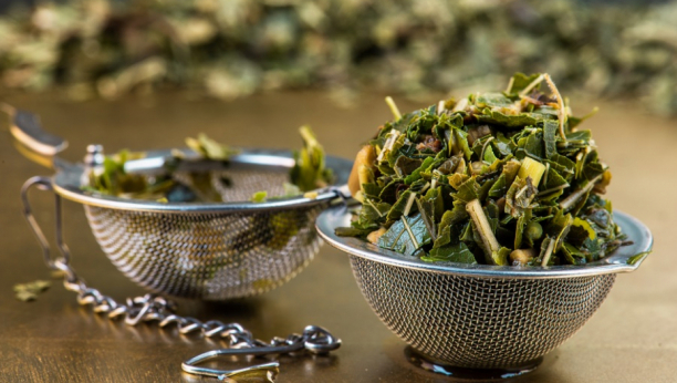 LEK IZ PRIRODE Čaj od listova ove biljke smanjuje nivo šećera u krvi