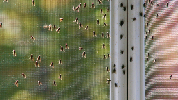 NE TREBA VAM MREŽICA Evo kako i uz otvoren prozor muve i komarci neće ulaziti u vaš dom
