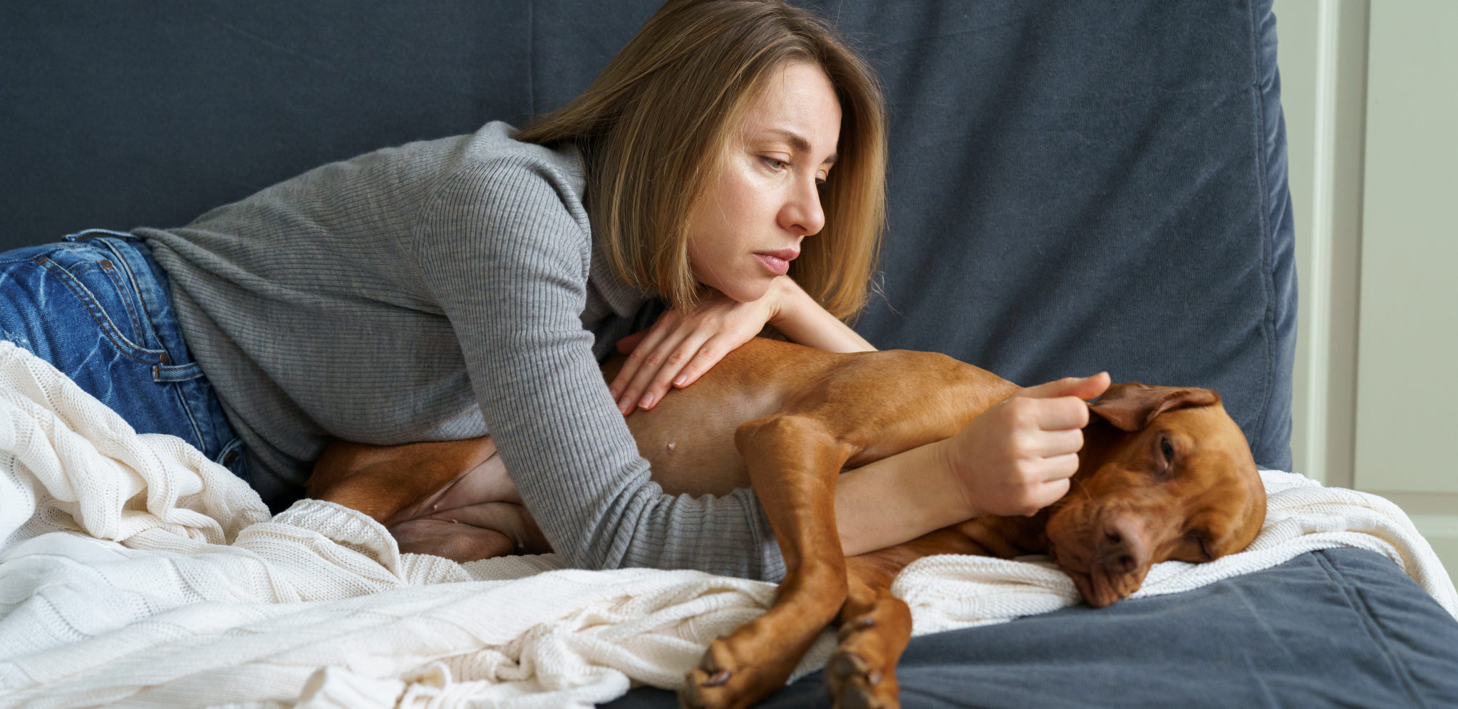 OBAVEZNA PREVENTIVA Sprečite komplikacije izazvane srčanim crvom kod vašeg psa