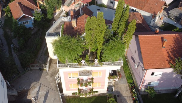 PARK NA KROVU KUĆE Decenijama izaziva čuđenje i oduševljenje Piroćanaca i prolaznika: Jedinstven u celoj Srbiji!