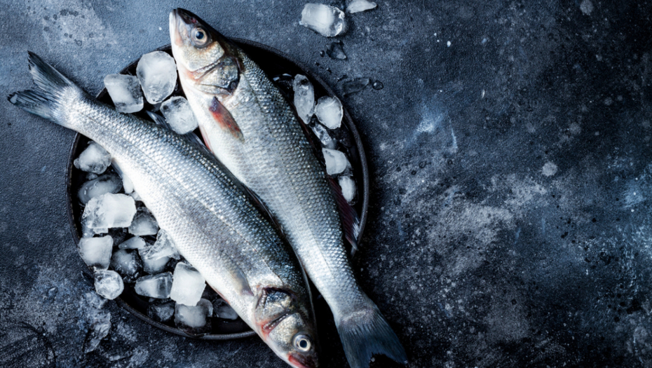 MOĆ MALE PLAVE RIBE Kako papaline, inćuni i sardine mogu da spasu 750.000 života?