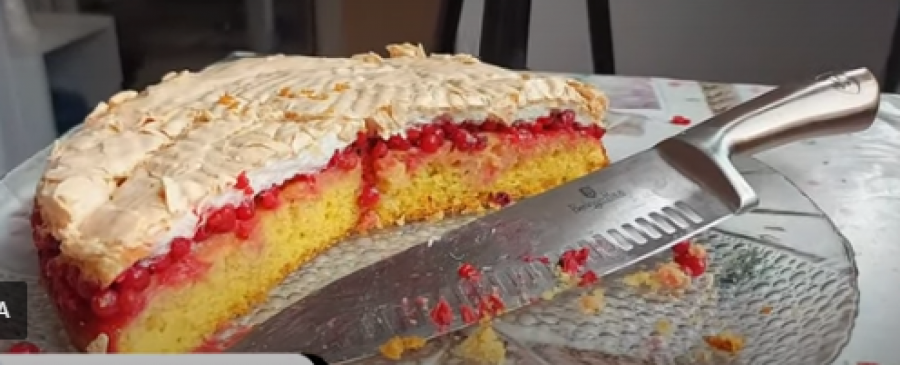 UKUS JE FENOMENALAN Pravo je vreme za lagan letnji kolač sa ribizlama (VIDEO)
