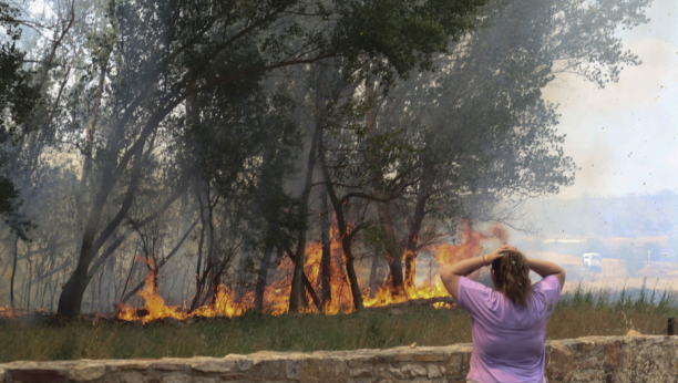 TOPLOTNI TALAS UDARIO NA EVROPU! Temperatura probija 40 stepeni, više od 1.000 ljudi umrlo zbog vrućine (FOTO)