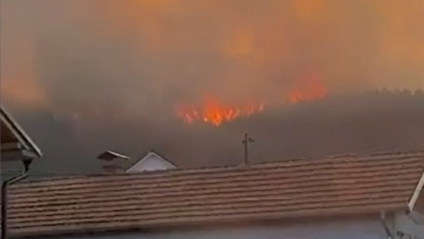 VATRA SE ŠIRI OGROMNOM BRZINOM Veliki požar izbio na Vršačkom bregu (FOTO,VIDEO)