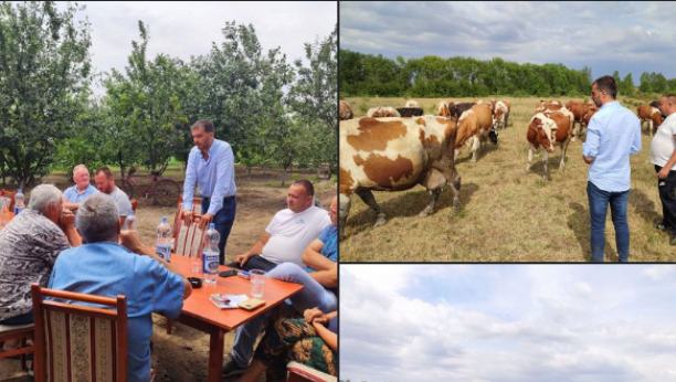 EVO KAKO JE SVE POČELO Savo Manojlović prešao u poljoprivrednike i zagorčava život građanima (FOTO)