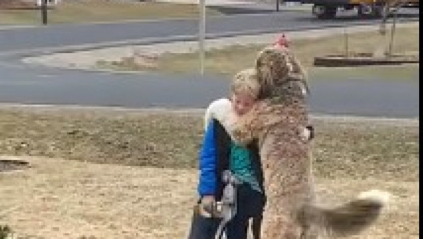 ČISTA LJUBAV Pas čeka i grli dečaka koji se vraća iz škole, ovo morate videti