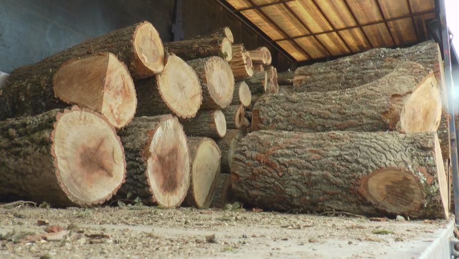 CENE OGREVA NIKAD NIŽE Srbi navalili na drva i pelet, spremaju se za sledeću zimu