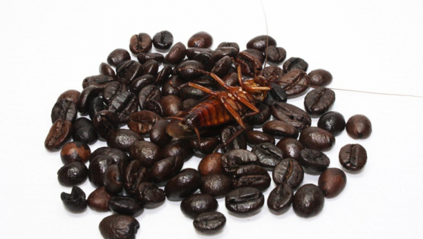 SMUČIĆE VAM SE ŽIVOT Doktor izneo jezive podatke o kafi sa mlevenim bubašvabama i drugim insektima, koju svakodnevno pijemo