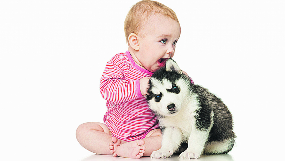 Naučnici razrešili dilemu: DA, bebe JESU zdravije ako rastu uz psa ili mačku