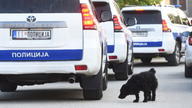 NAJNOVIJE FOTOGRAFIJE IZ MLADENOVCA Više od 600 policajaca traži ubicu! Na terenu helikopteri, antiteroristička jedinica, psi tragači... (FOTO)