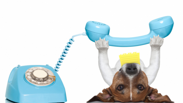 Psi komuniciraju telefonom