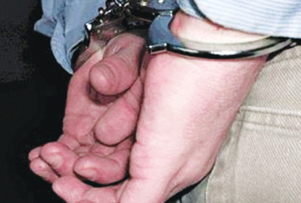 „Nikad brže nisam  uhapšen“, rekao  Radomir inspektorima