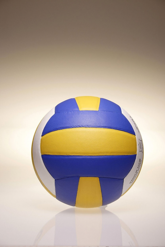 Odbojka Odbojkaška lopta