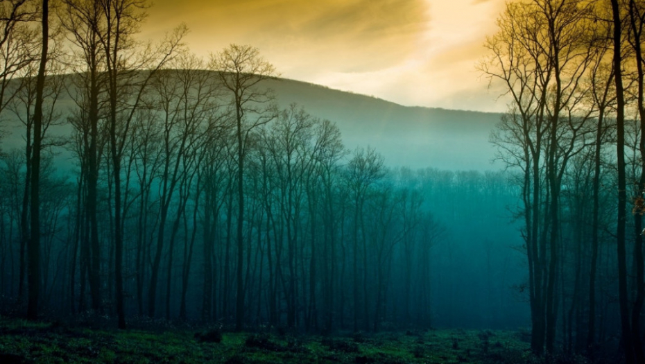 Planina Šuma Jesen