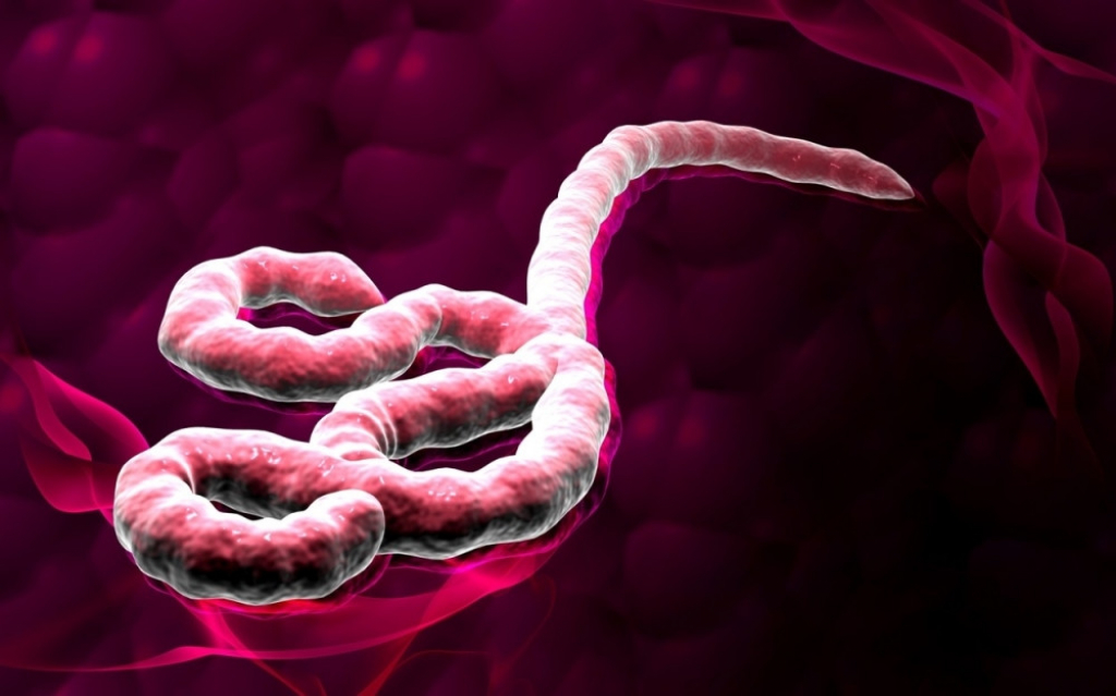 Ebola Virus ebole
