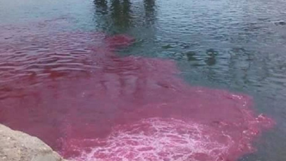 Dunav Novi Sad Crveno Crven Dunav