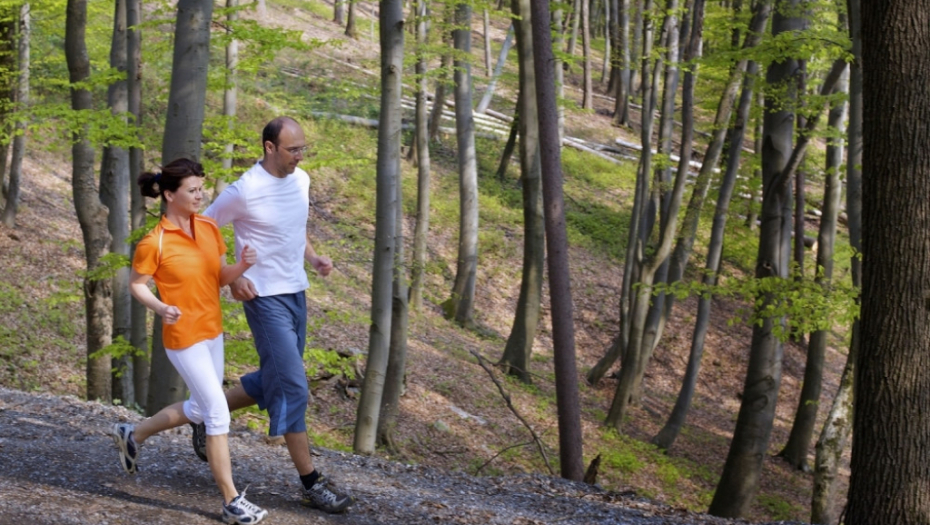 Trčanje Džoging Šuma Trim staza