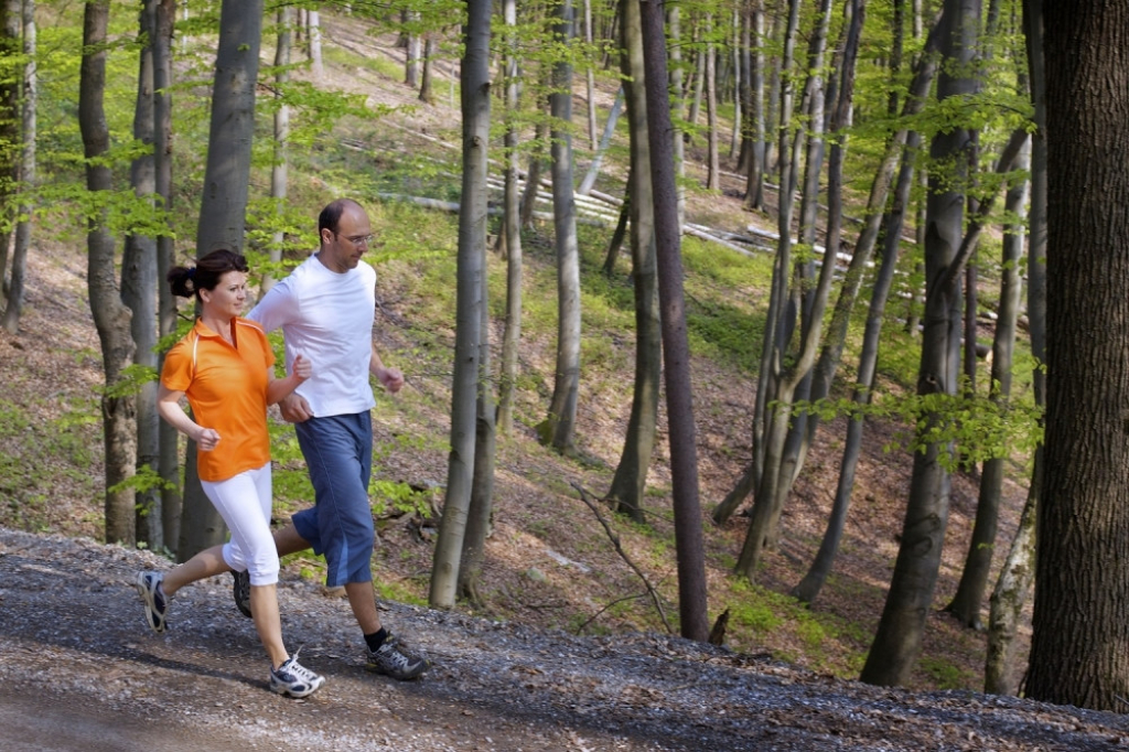 Trčanje Džoging Šuma Trim staza
