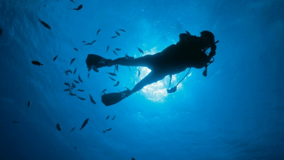 Ronilac Gnjurac Ronjenje Gnjurenje