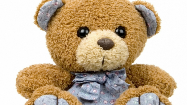 Plišana igračka Plišani meda medved