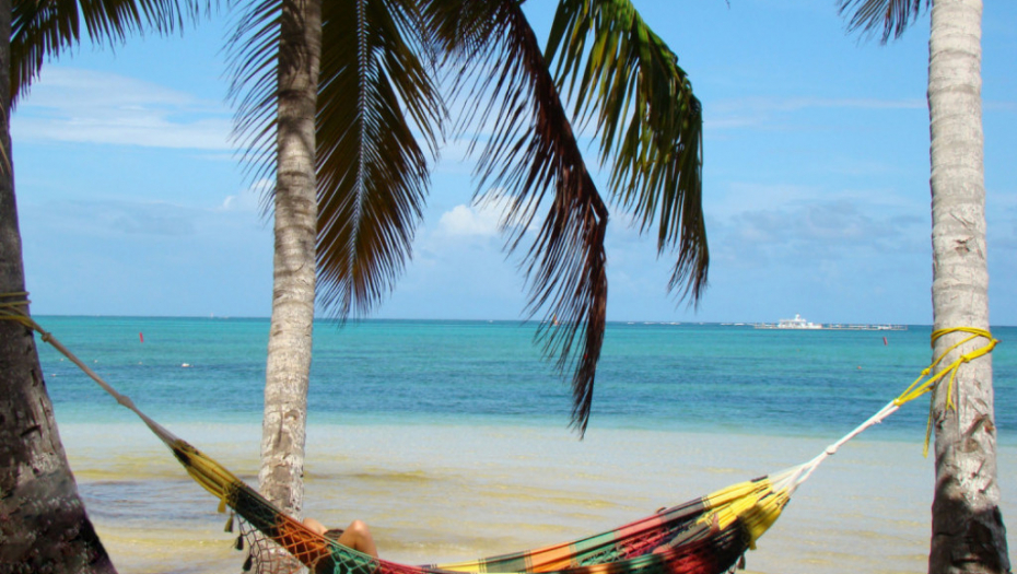 Dominikanska Republika Punta Kana More Palme Godišnji odmor
