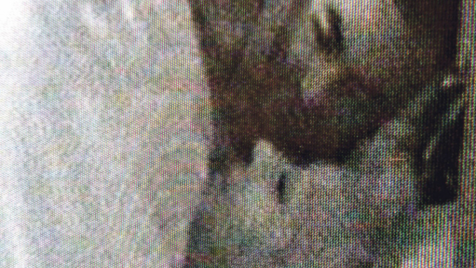 Dokazali da se poznaju odranije: Zorica i Ali King