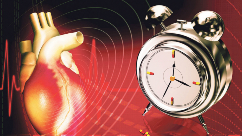 Svaki organ u ciklusu od 24 sata radi „punim snagom“