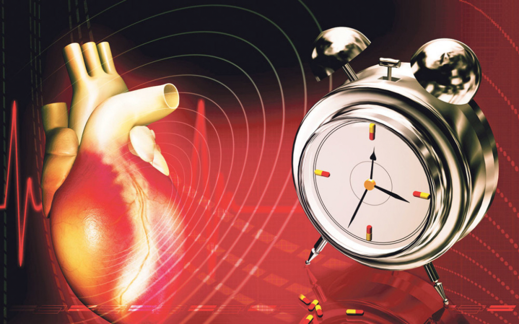 Svaki organ u ciklusu od 24 sata radi „punim snagom“