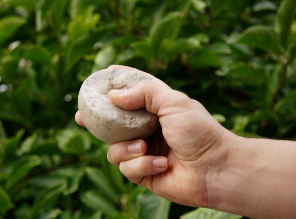 Kamenovanje kamenica kamen