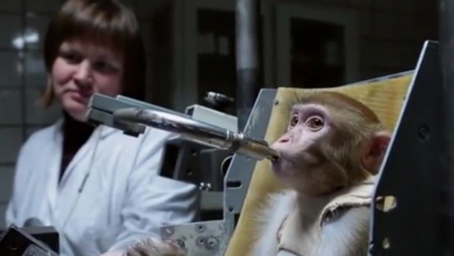 Majmun mamaki se priprema za put na Mars 