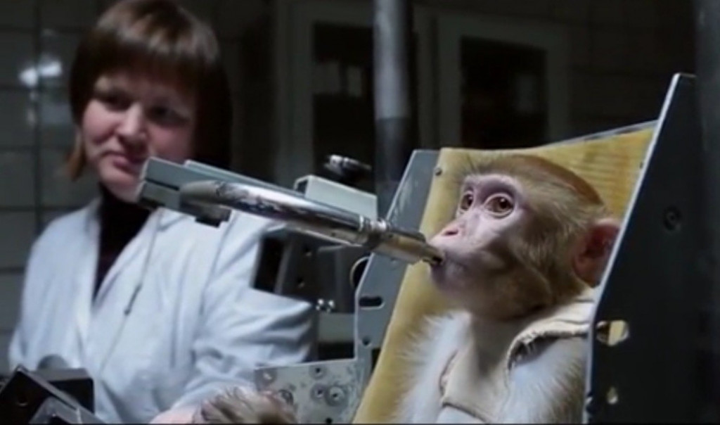 Majmun mamaki se priprema za put na Mars 