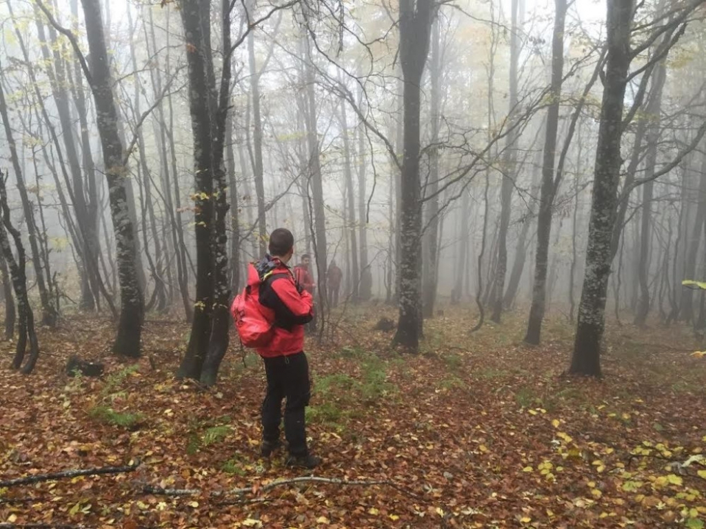 Potraga, Gorska služba spasavanja