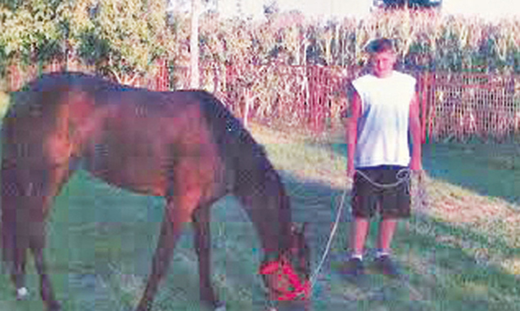 Nikola Jokić obožava  životinje, naročito  konje