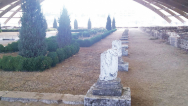 Deo palate  imperatora