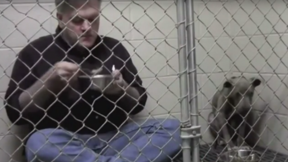 Doktor Endi Matis, veterinar, kavez